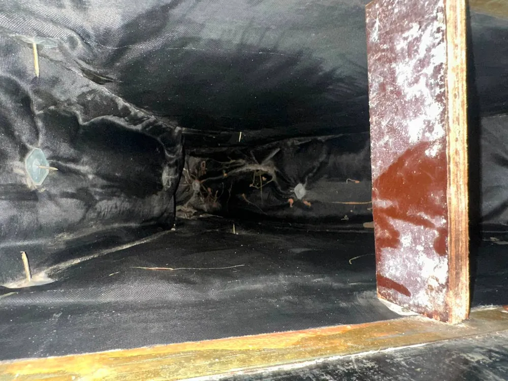 Duct plenum after cleaning