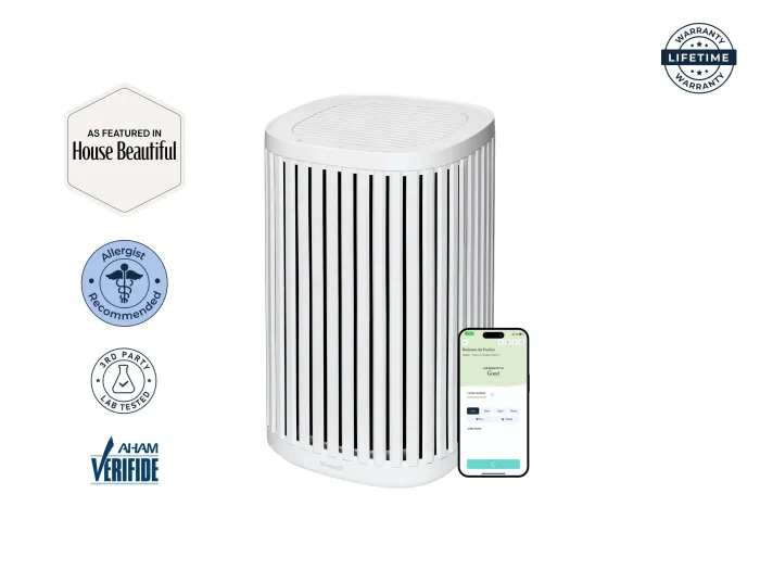 Windmill Air Purifier